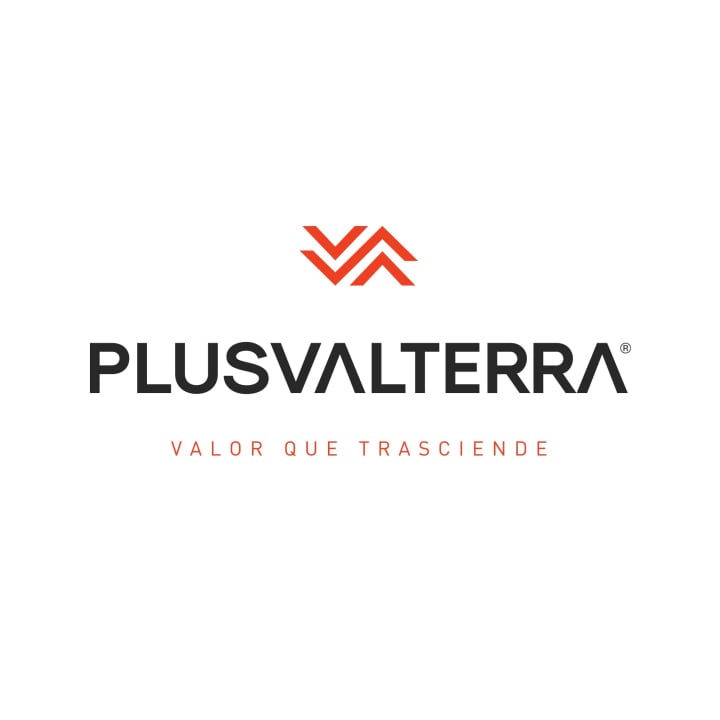 Plusvalterra Punto 45